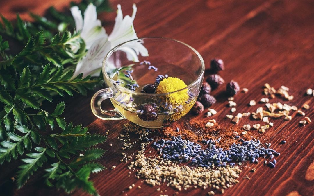 Build your immunity with Chinese herbal medicine