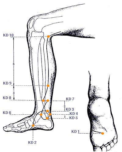Diagram of the Kidney Meridian through the leg and foot