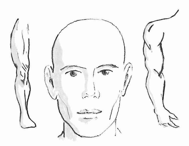 Imaging: Head to limbs used to demonstrate where to select acupuncture points