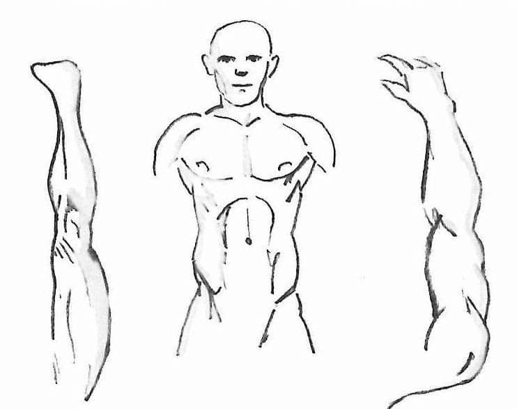 Reverse imaging: head/trunk to limbs used to demonstrate where to select acupuncture points