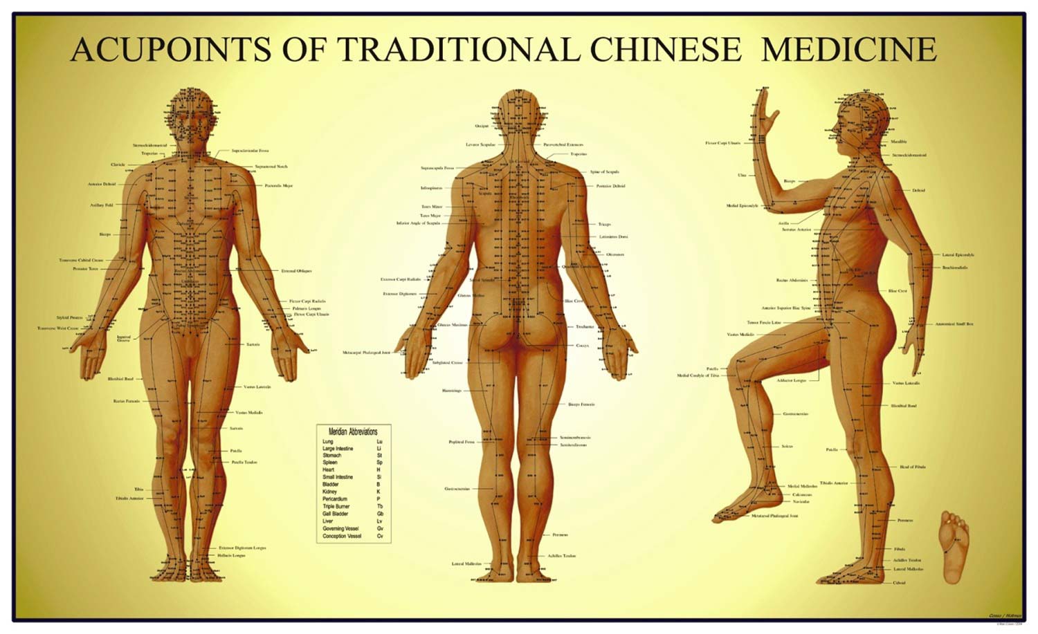 How do Acupuncturist Choose Acupuncture Points