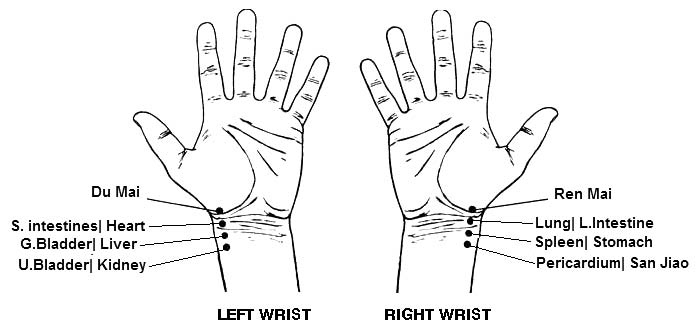 How pulse diagnosis works by Transformational Acupuncture