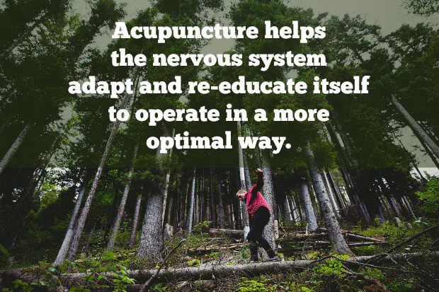 Acupuncture trains the nervous system to operate optimally.