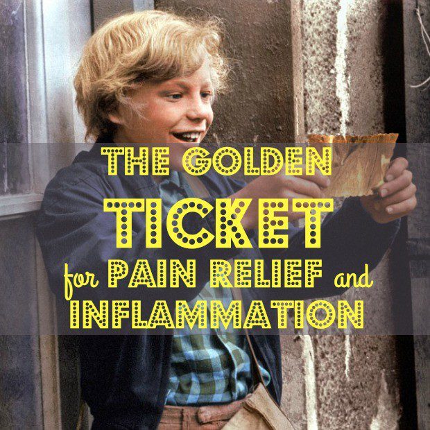 Turmeric Supreme supplement for pain and chronic inflammation