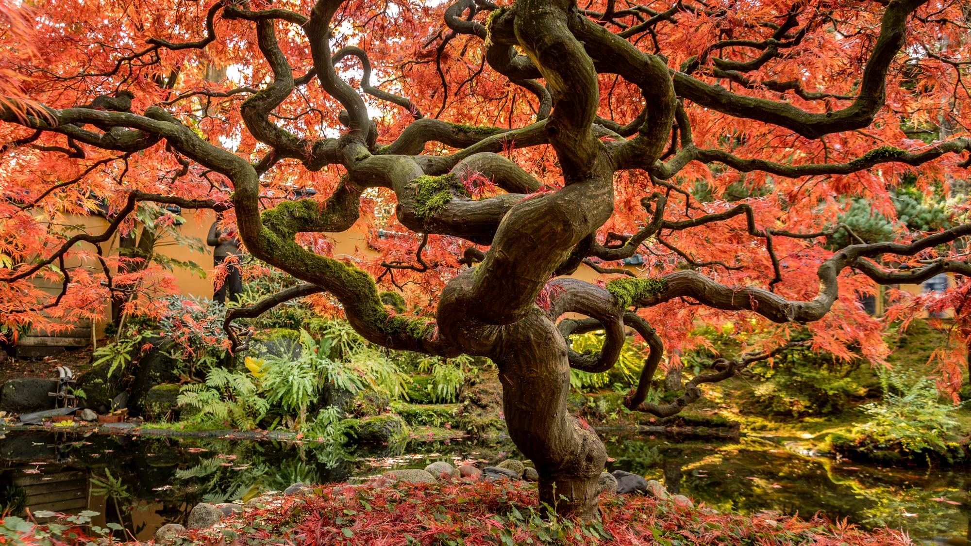 Seasonal Series: Fall