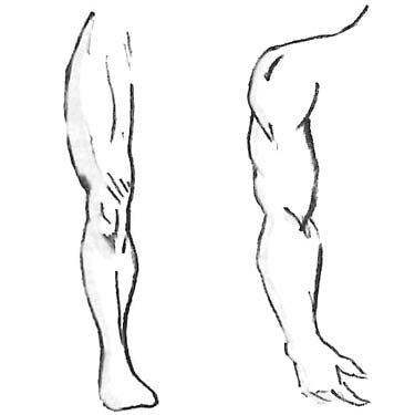 Reverse Imaging: limb to limb used to demonstrate where to select acupuncture points