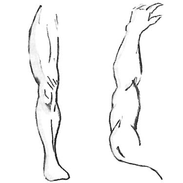Reverse Imaging: limb to limb used to demonstrate where to select acupuncture points