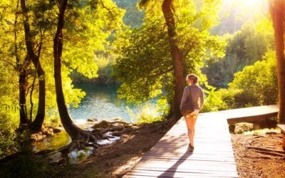 How Can Somatic Wellness Work For You?
