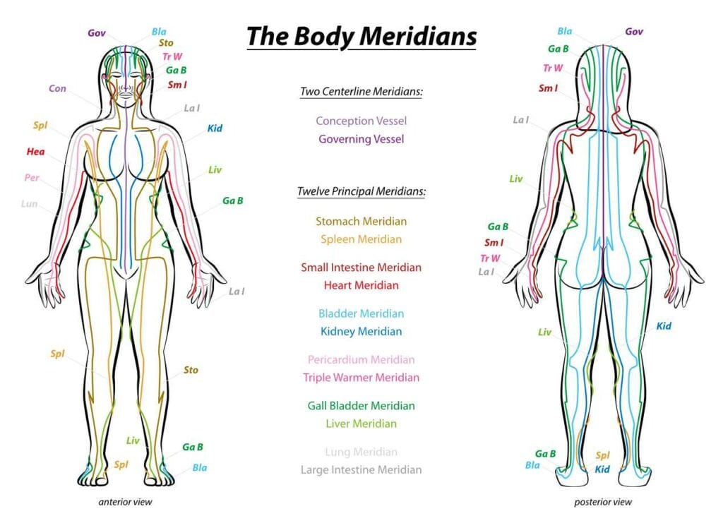 Acupuncture meridian chart